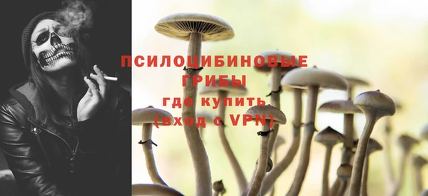 круглые Алзамай