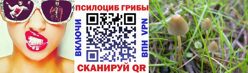 Галлюциногенные грибы GOLDEN TEACHER  MEGA ТОР  Саки  дарнет шоп 